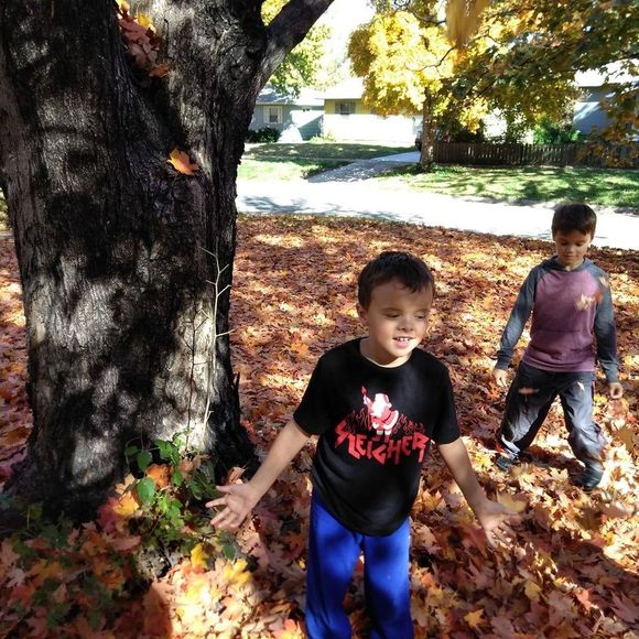 Meet your Posher, Nessa - Picture 1 of 1